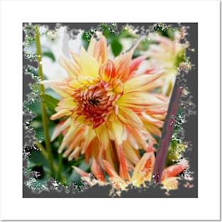 Sunburst Dahlia Posters and Art